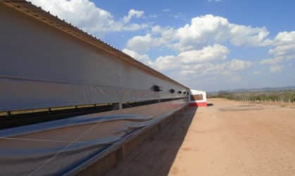 Cortinado